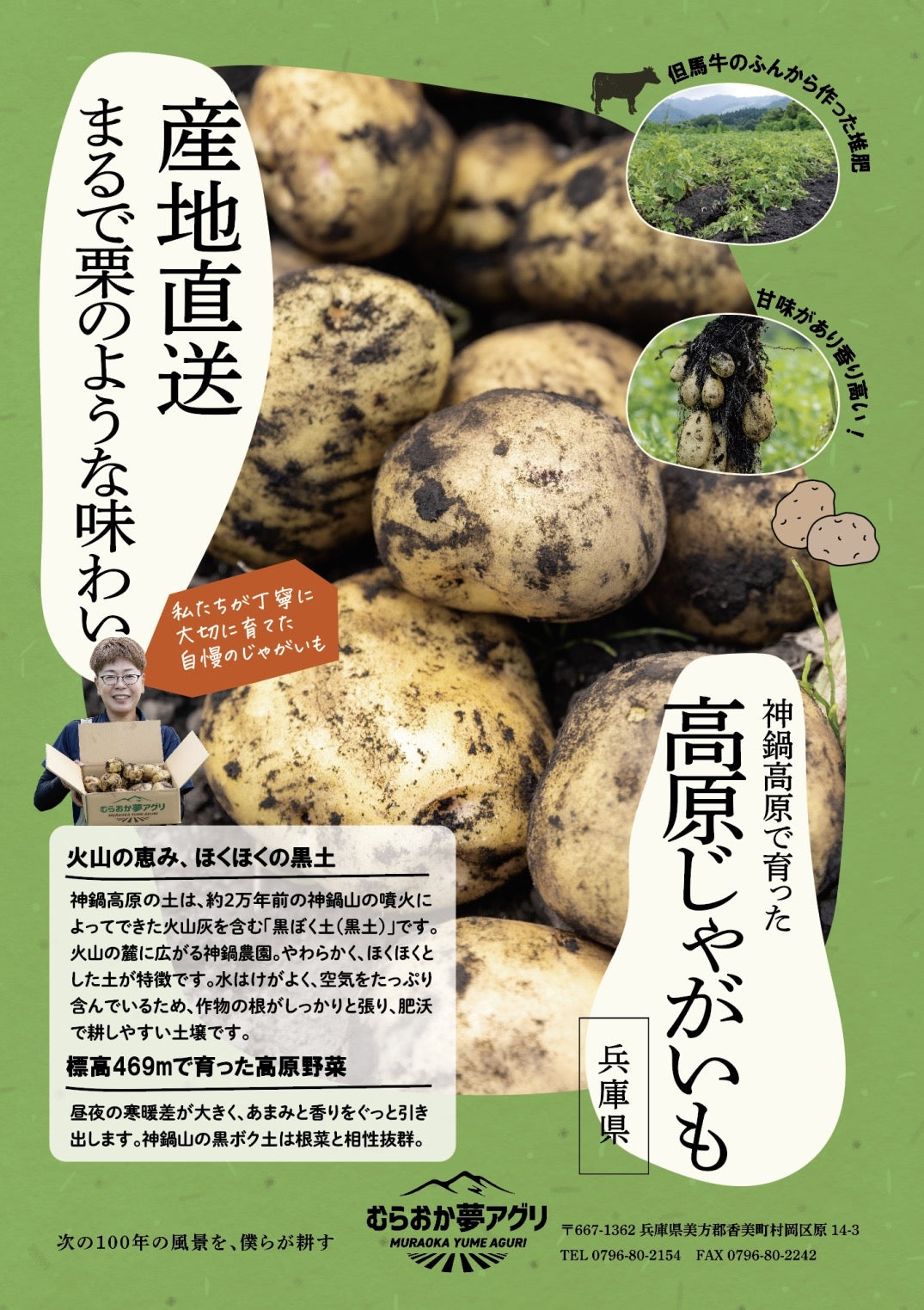 【予約販売:7月中旬~お届け】ピーマンとじゃがいも(きたあかり)セット