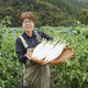 神鍋高原産「高原大根」