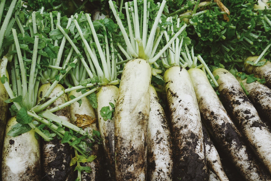 神鍋高原産「高原大根」