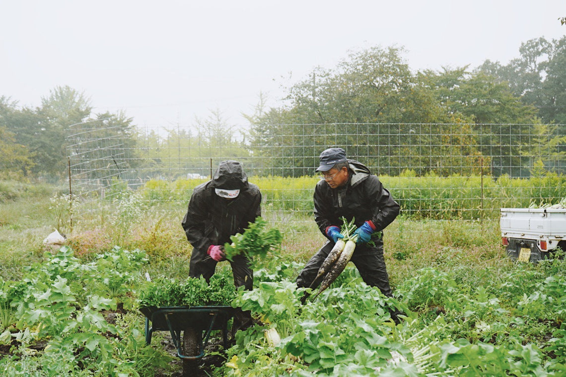 神鍋高原産「高原大根」