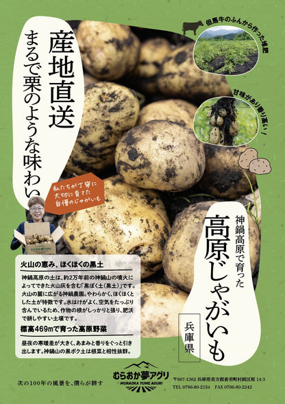 【予約販売：７月中旬～お届け】ピーマンとじゃがいも（きたあかり）セット